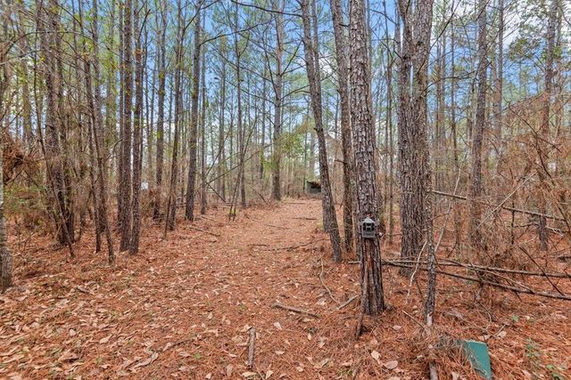 12895 County Road 201, Plantersville, TX 77363