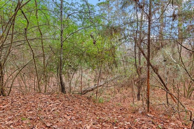 12895 County Road 201, Plantersville, TX 77363