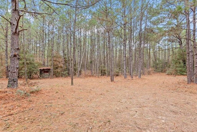 12895 County Road 201, Plantersville, TX 77363