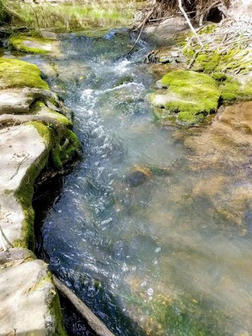 12895 County Road 201, Plantersville, TX 77363