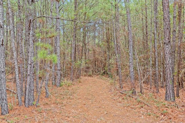 12895 County Road 201, Plantersville, TX 77363