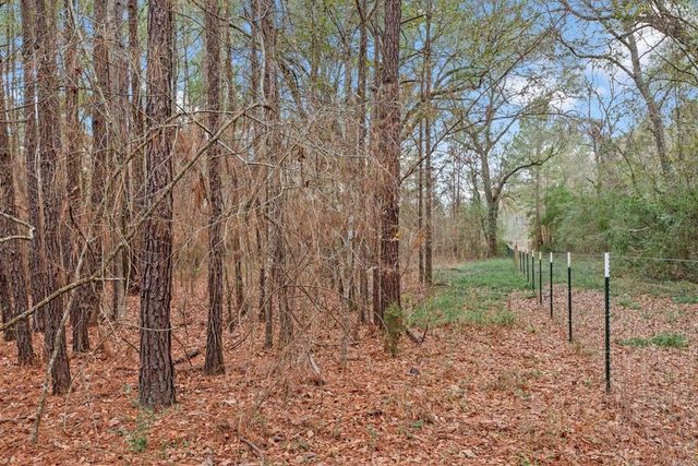 12895 County Road 201, Plantersville, TX 77363