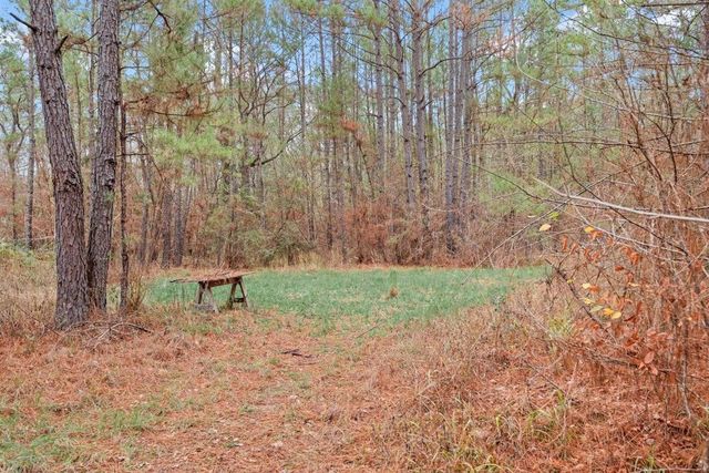 12895 County Road 201, Plantersville, TX 77363