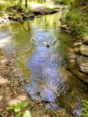 12895 County Road 201, Plantersville, TX 77363