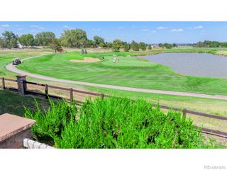 6874 Spanish Bay Drive, Windsor, CO 80550
