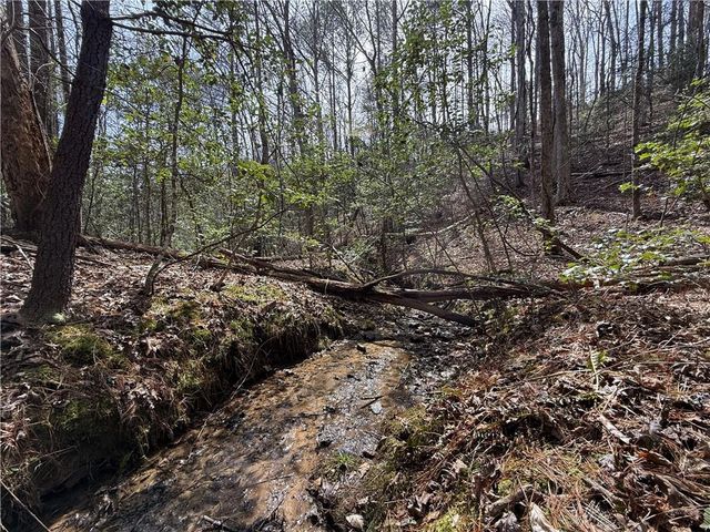 0 Bayou Drive, Ellijay, GA 30540