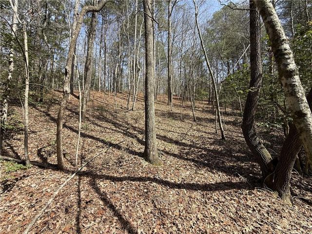 0 Bayou Drive, Ellijay, GA 30540