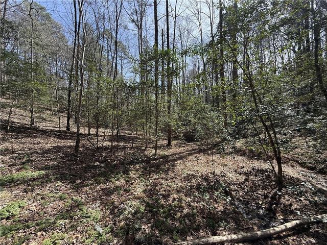 0 Bayou Drive, Ellijay, GA 30540