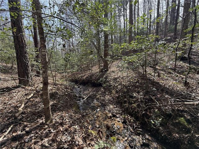 0 Bayou Drive, Ellijay, GA 30540