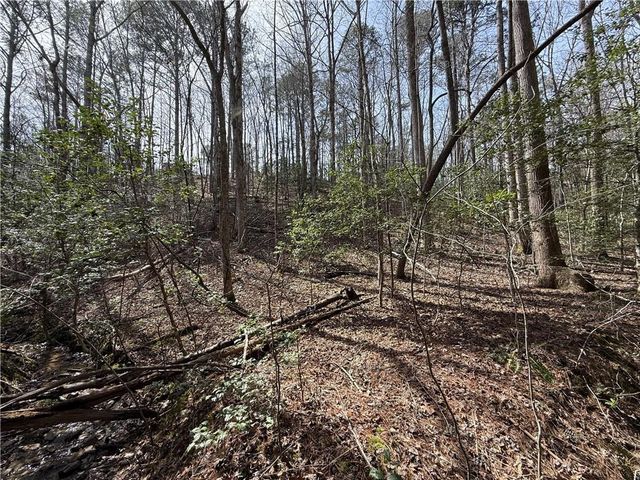 0 Bayou Drive, Ellijay, GA 30540