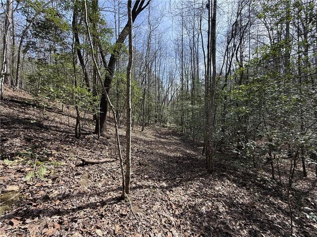 0 Bayou Drive, Ellijay, GA 30540