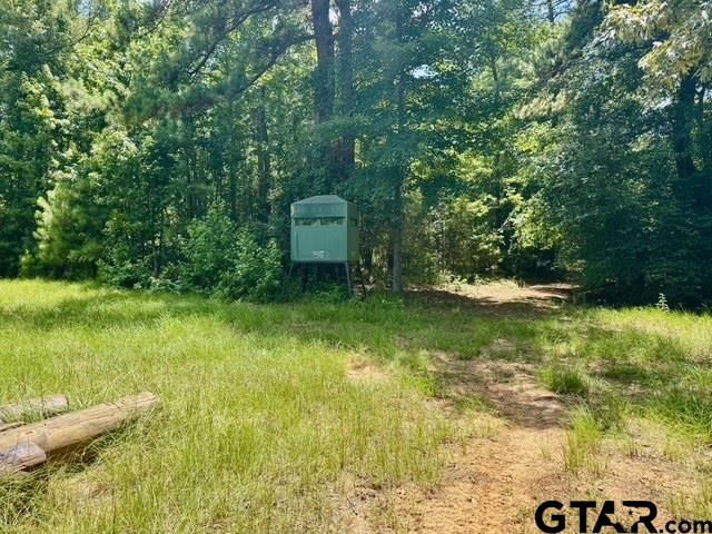 629 ACR 1215, Grapeland, TX 75844