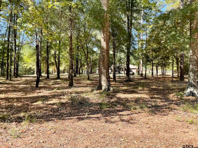 629 ACR 1215, Grapeland, TX 75844