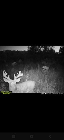 12999 Us-12, Brooklyn, MI 49230