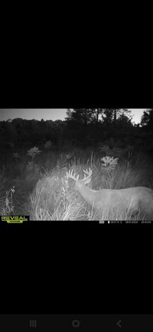 12999 Us-12, Brooklyn, MI 49230