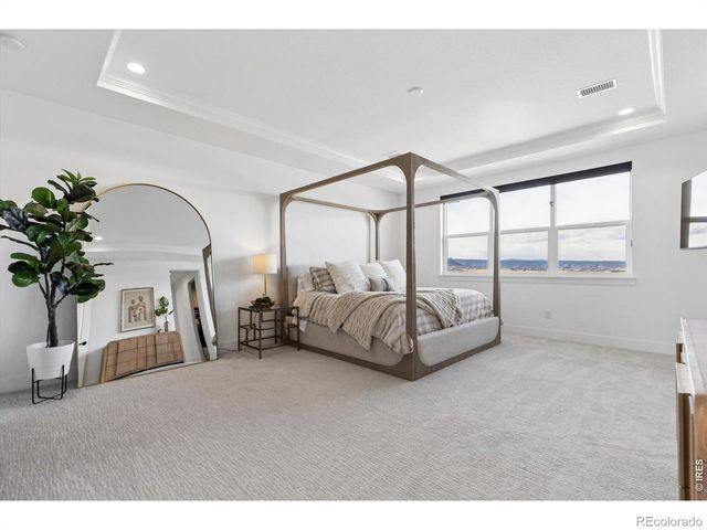 5423 Brotherton Court, Castle Rock, CO 80104