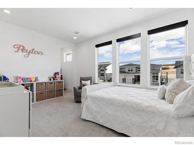 5423 Brotherton Court, Castle Rock, CO 80104