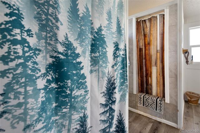 311 W Eaton Avenue, Cripple Creek, CO 80813