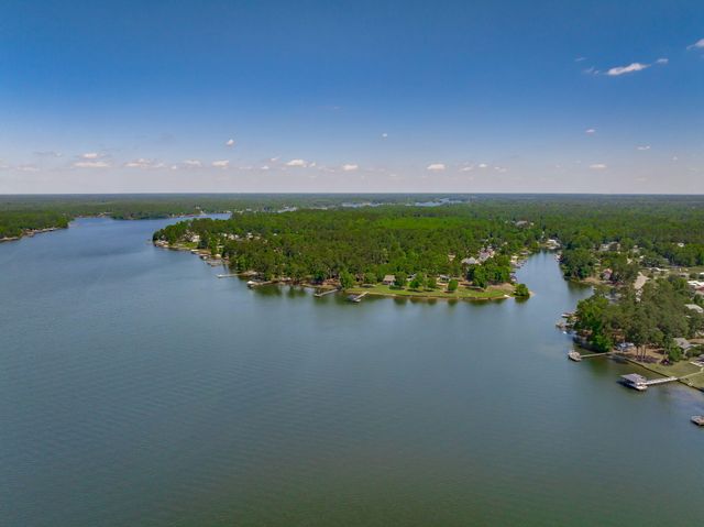 1136 Lemon Avenue, Manning, SC 29102