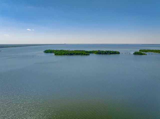 1136 Lemon Avenue, Manning, SC 29102