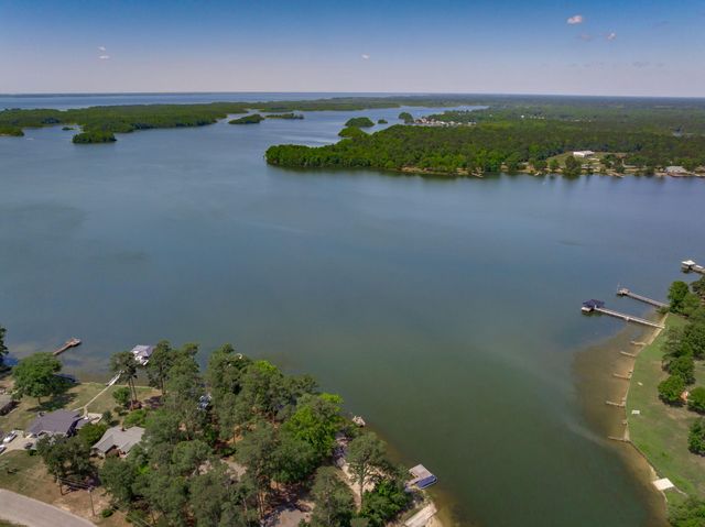 1136 Lemon Avenue, Manning, SC 29102