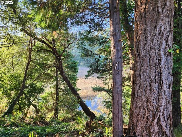 2605 PORT ORFORD LOOP Rd, Port Orford, OR 97465