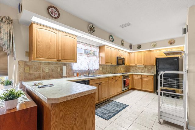 11215 SE 175TH LN, Summerfield, FL 34491