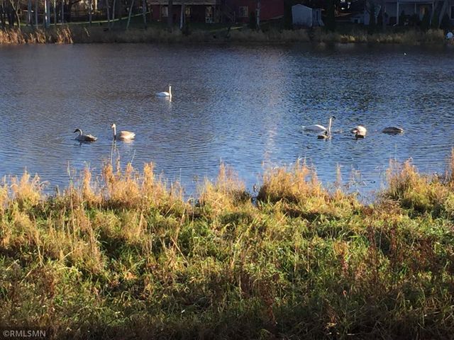 5266 Lakeview Avenue, White Bear Twp, MN 55110