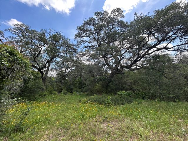1098 Simmons Oakridge Drive, Columbus, TX 78934