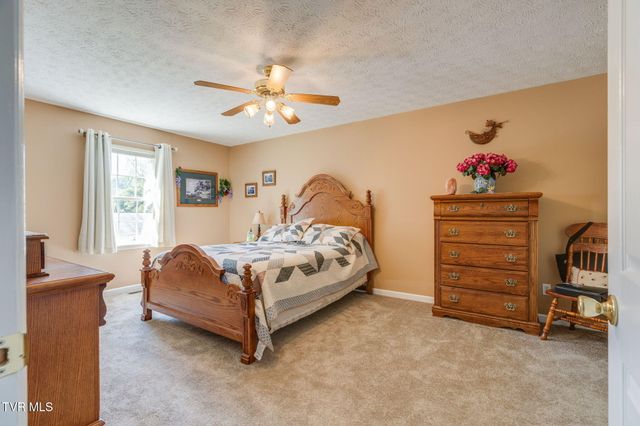 263 Mountain View Drive, Mount Carmel, TN 37645