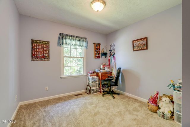 263 Mountain View Drive, Mount Carmel, TN 37645