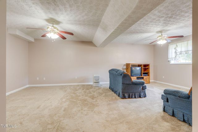 263 Mountain View Drive, Mount Carmel, TN 37645