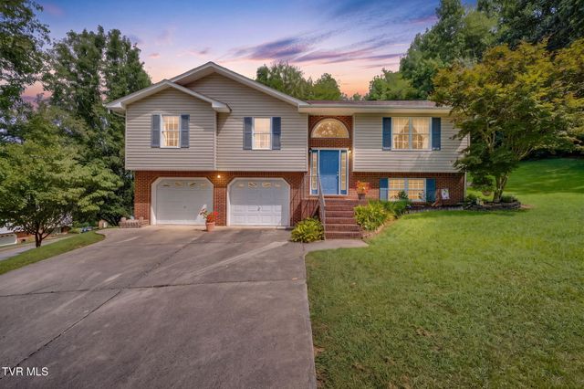 263 Mountain View Drive, Mount Carmel, TN 37645