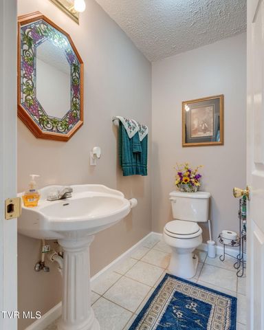 263 Mountain View Drive, Mount Carmel, TN 37645