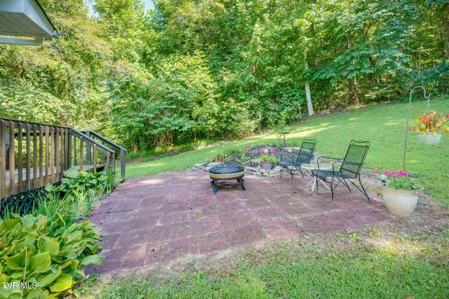 263 Mountain View Drive, Mount Carmel, TN 37645