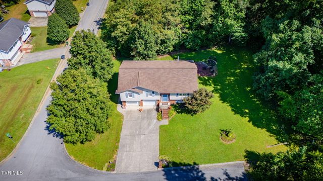 263 Mountain View Drive, Mount Carmel, TN 37645