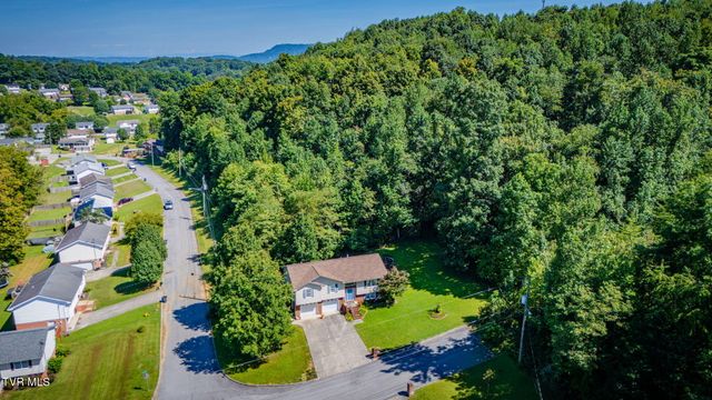 263 Mountain View Drive, Mount Carmel, TN 37645