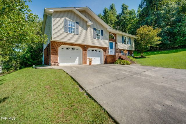 263 Mountain View Drive, Mount Carmel, TN 37645