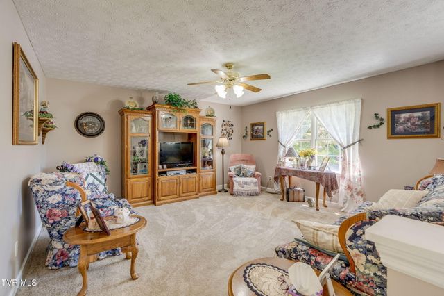 263 Mountain View Drive, Mount Carmel, TN 37645
