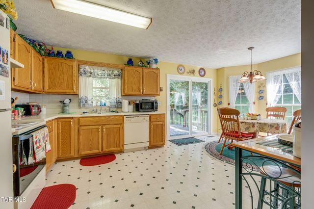 263 Mountain View Drive, Mount Carmel, TN 37645