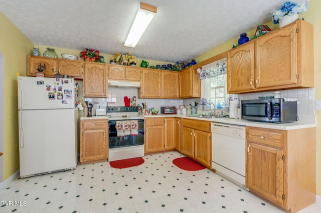 263 Mountain View Drive, Mount Carmel, TN 37645