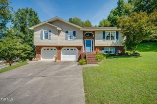 263 Mountain View Drive, Mount Carmel, TN 37645