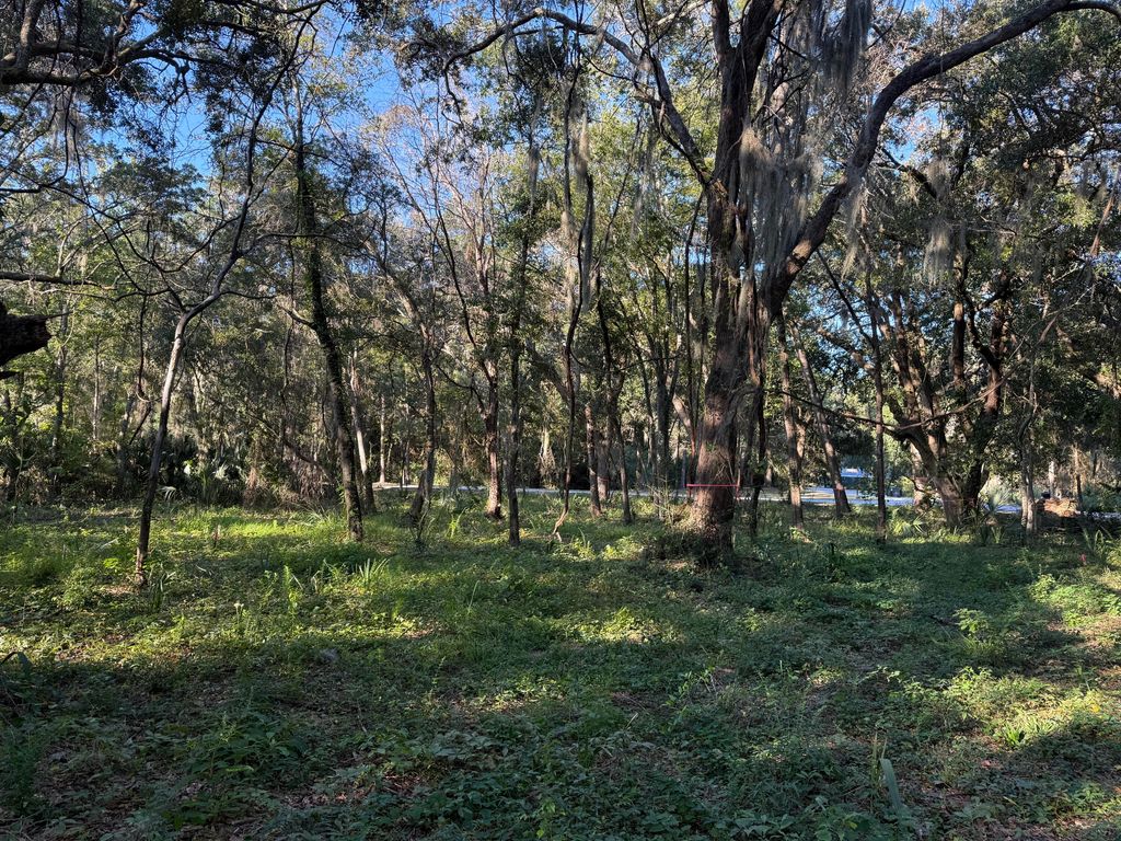 Image 10 of property listing at 404 Tanner Trail, Charleston, SC 29412