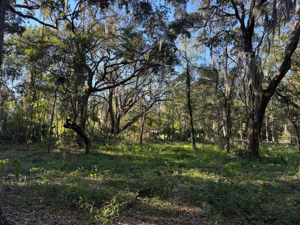 Image 12 of property listing at 404 Tanner Trail, Charleston, SC 29412