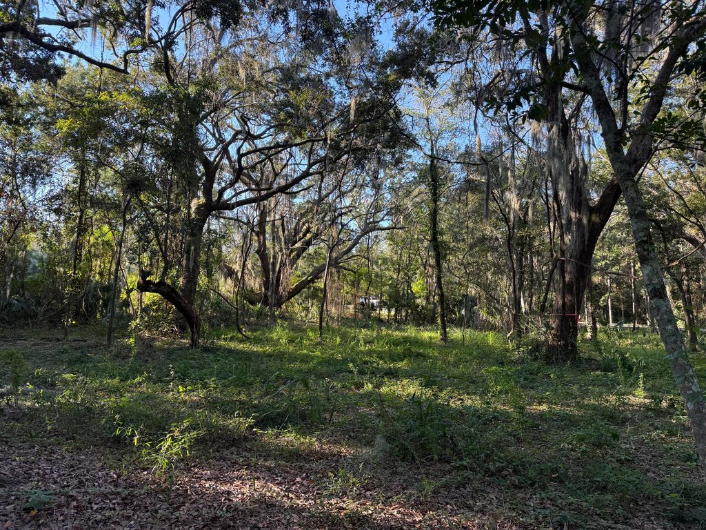 Image 13 of property listing at 404 Tanner Trail, Charleston, SC 29412