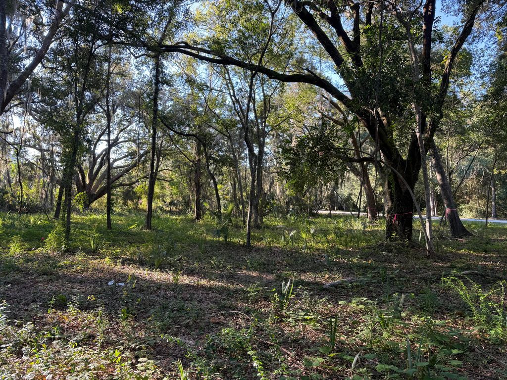 Image 15 of property listing at 404 Tanner Trail, Charleston, SC 29412