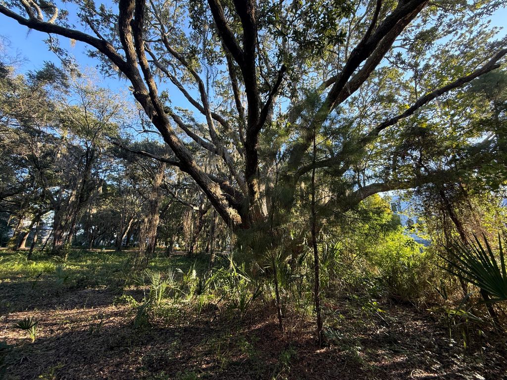 Image 4 of property listing at 404 Tanner Trail, Charleston, SC 29412