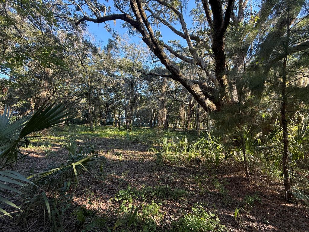 Image 5 of property listing at 404 Tanner Trail, Charleston, SC 29412