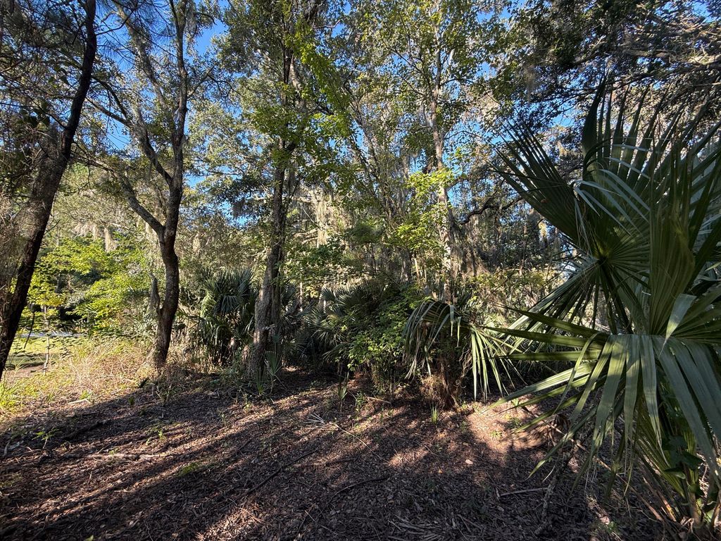 Image 6 of property listing at 404 Tanner Trail, Charleston, SC 29412