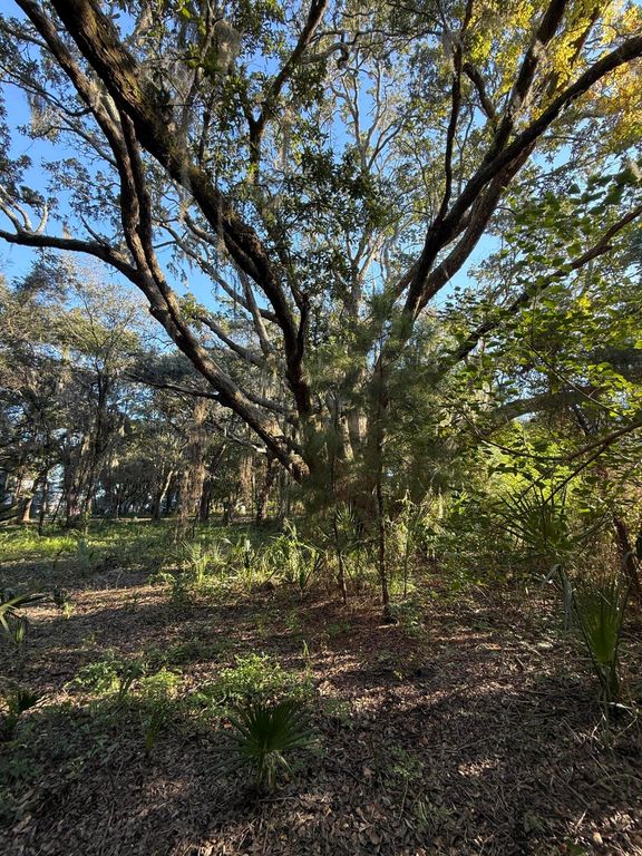 Image 7 of property listing at 404 Tanner Trail, Charleston, SC 29412